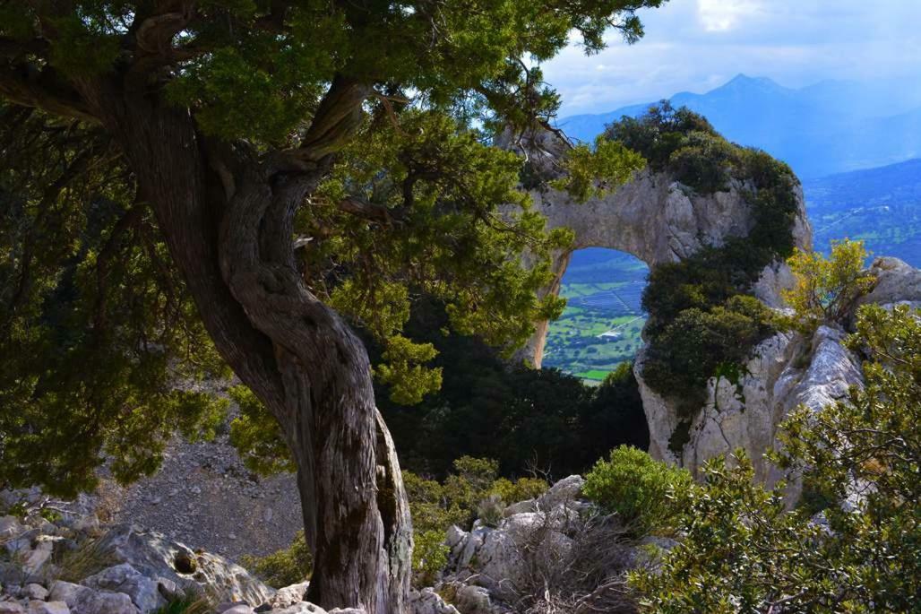Canne Al Vento Galtellì Exterior foto